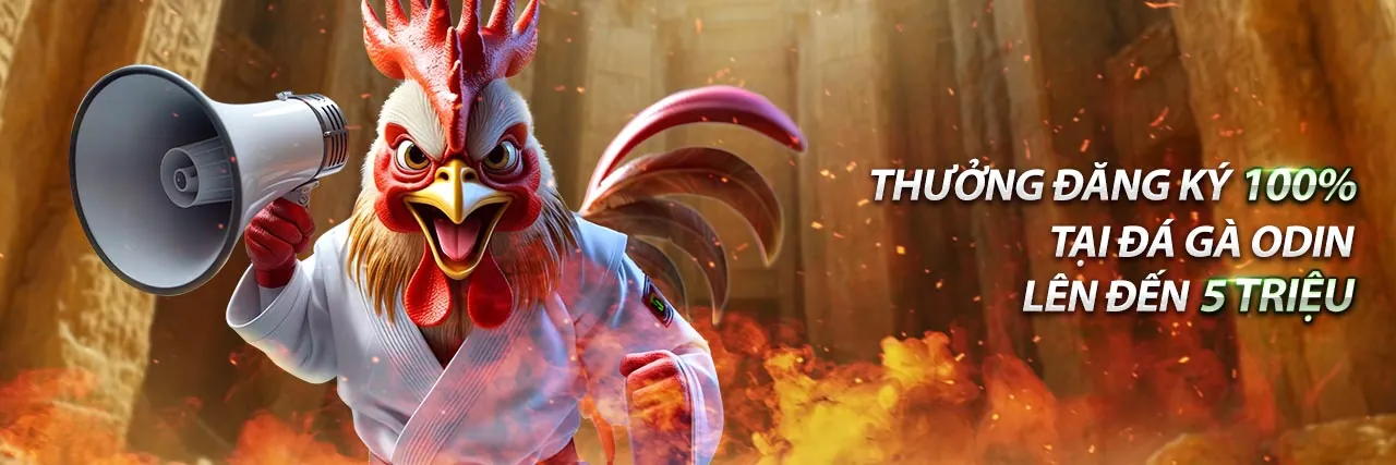 Hình ảnh nền tảng nohu90 hiện đang mở với đa dạng trò chơi cá cược